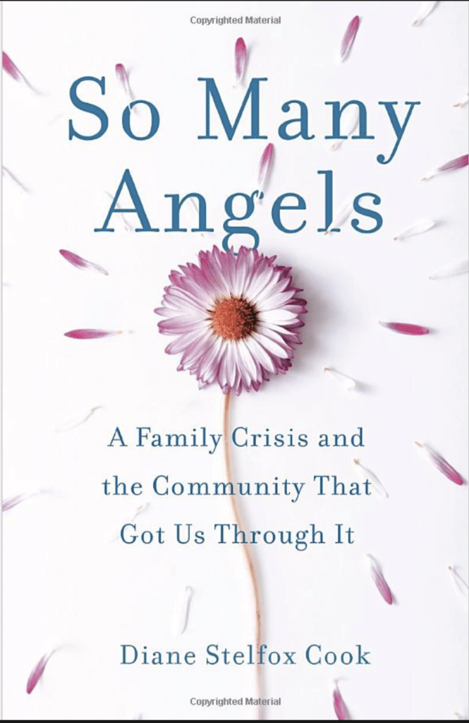 So Many Angels, book cover